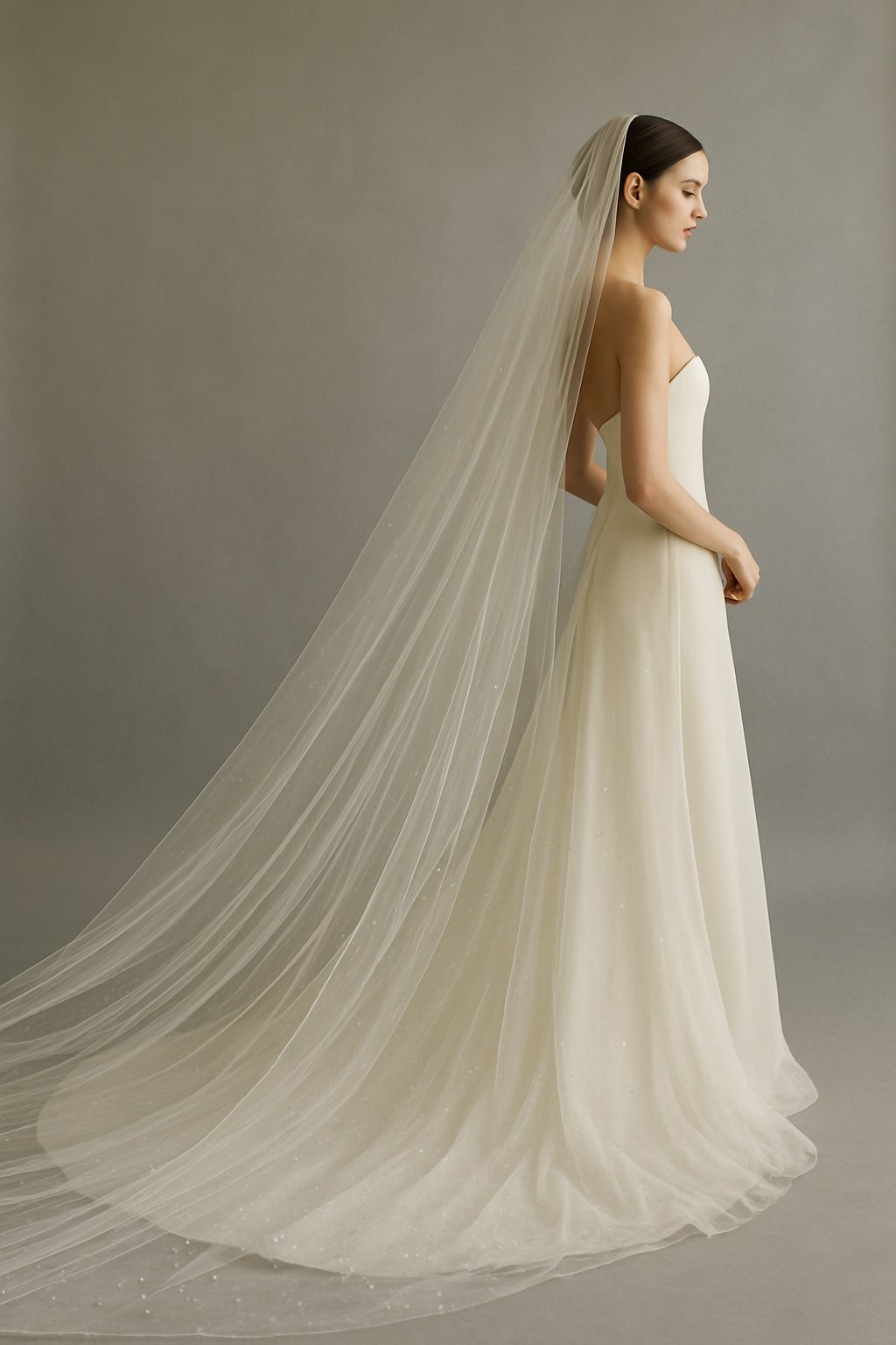 Vera Wang Cathedral Veil